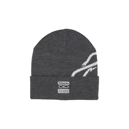 Cappello Uomo Logo Spin Beanie Grey