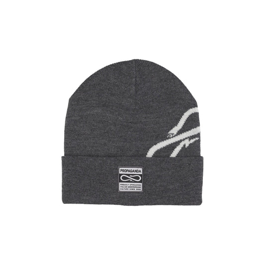 Cappello Uomo Logo Spin Beanie Grey