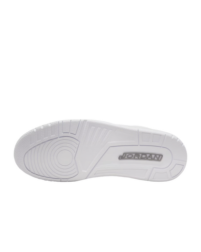 Air Jordan 3 White and Silver "PURE MONEY"